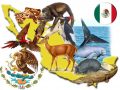 ¿Cuáles son los animales vertebrados de México?