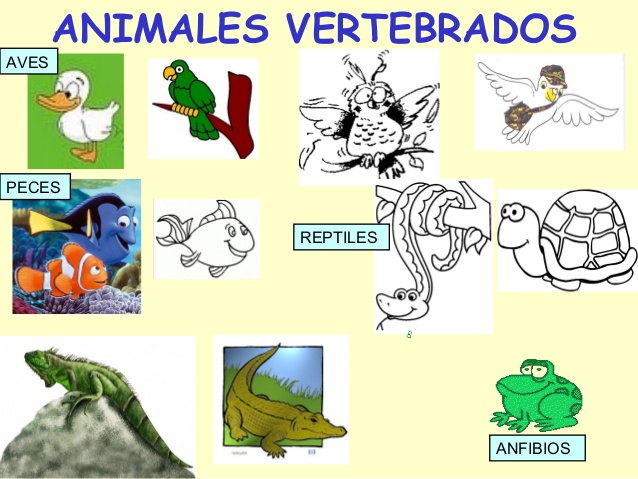 Lista de animales vertebrados